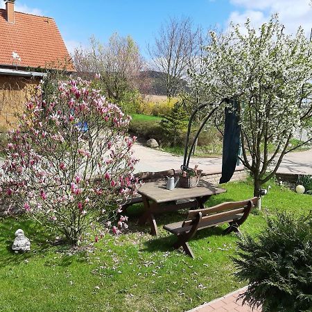 Familienfreundliche Ferienwohnung Auf Dem Lande Monteur Wohnung Hessisch Oldendorf Екстериор снимка